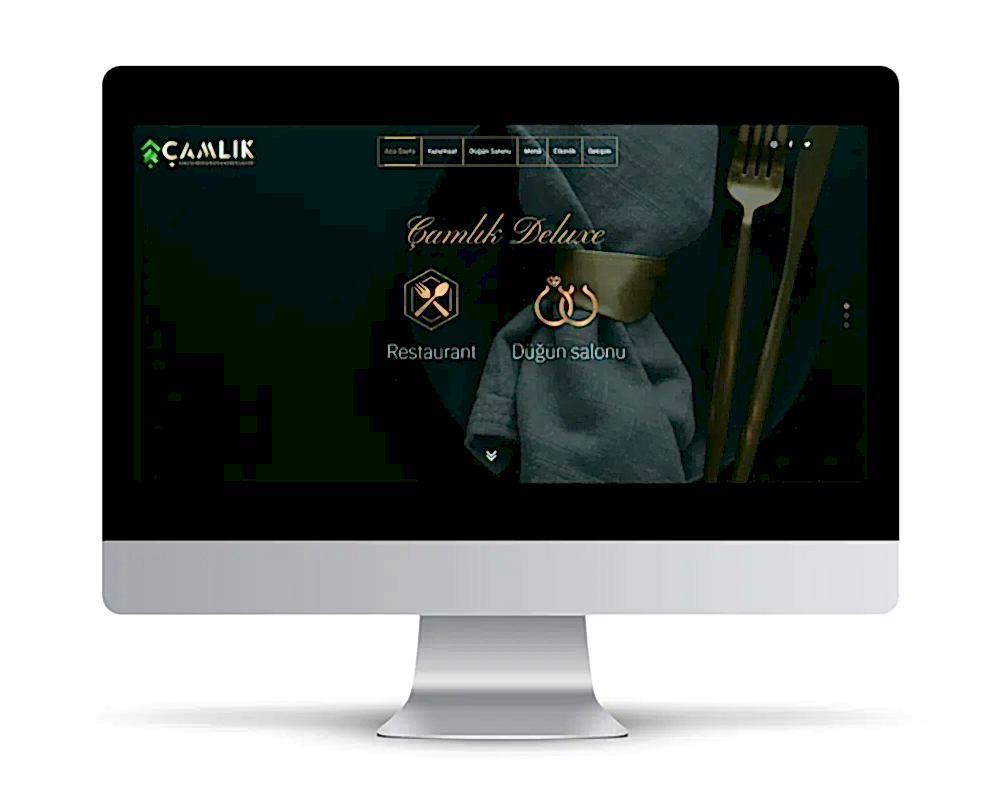 ankara-web-tasarim-referans13