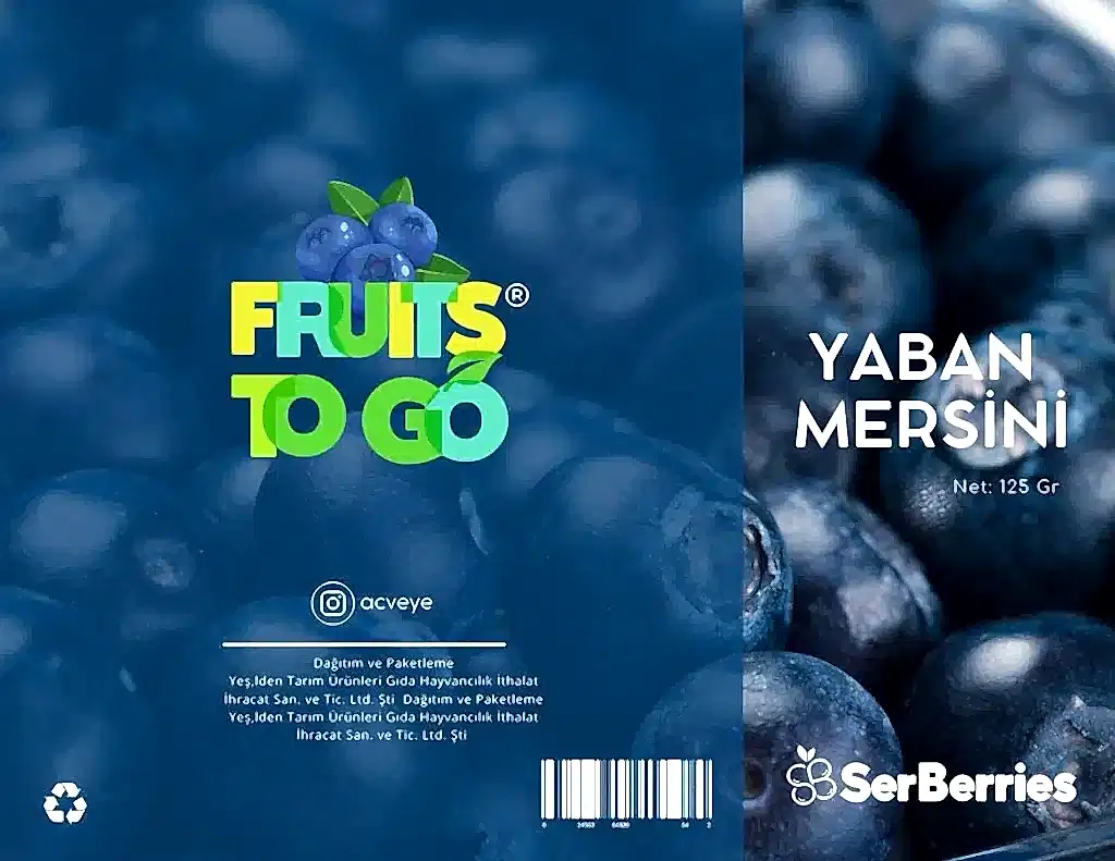 Ankara Kurumsal Kimlik Tasarımı Referansı - Fruits to go