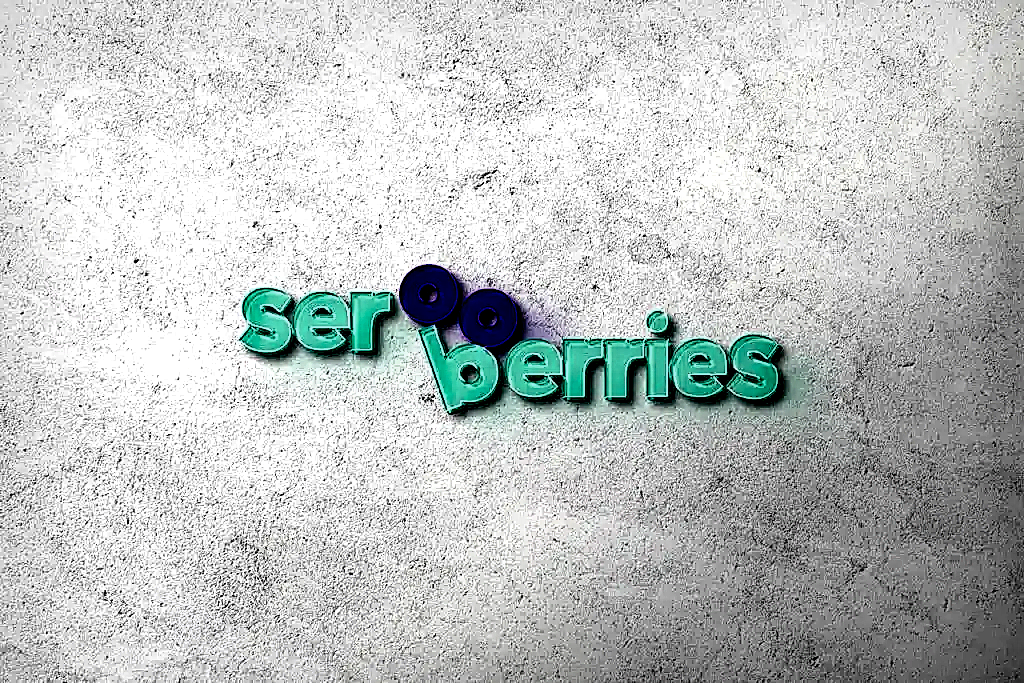 Ankara Kurumsal Kimlik Tasarımı Referansı - Ser Berries